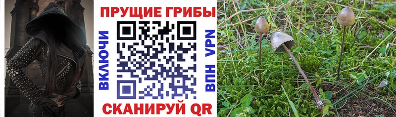 Псилоцибиновые грибы GOLDEN TEACHER  сколько стоит  Магадан 
