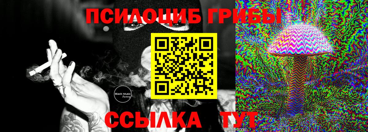 Псилоцибиновые грибы прущие грибы  Вход с VPN  где можно купить   Магадан 