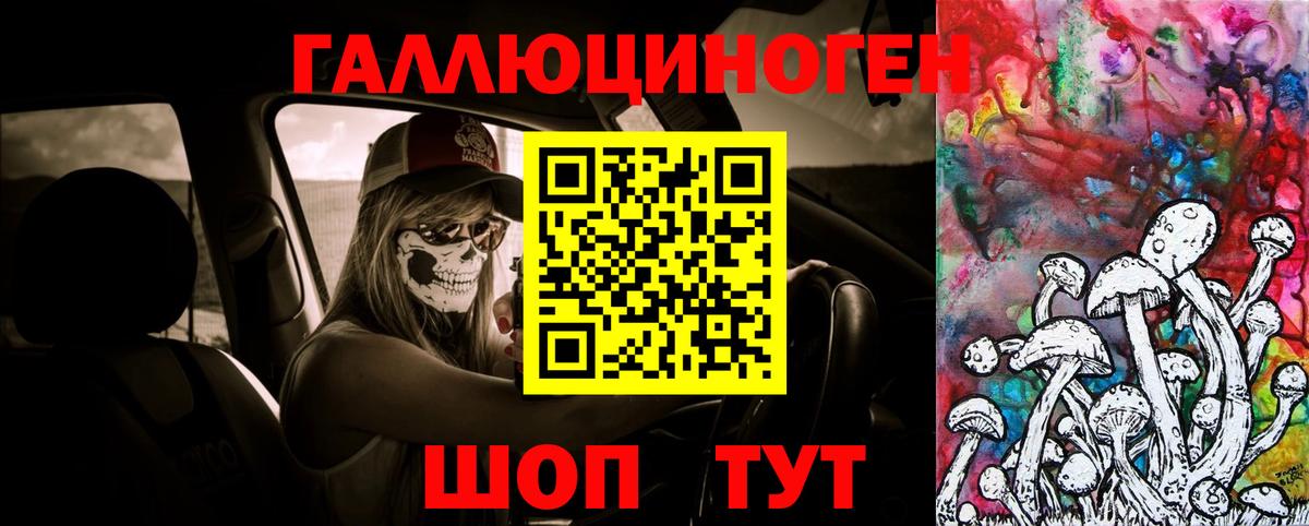 Галлюциногенные грибы Cubensis Магадан